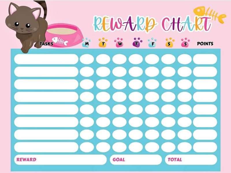 Kids Reward Chart REUSEABLE Girls Chart