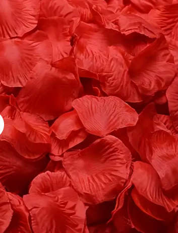 Rose Petals for Funerals / Parties / Romance (500 Pieces)