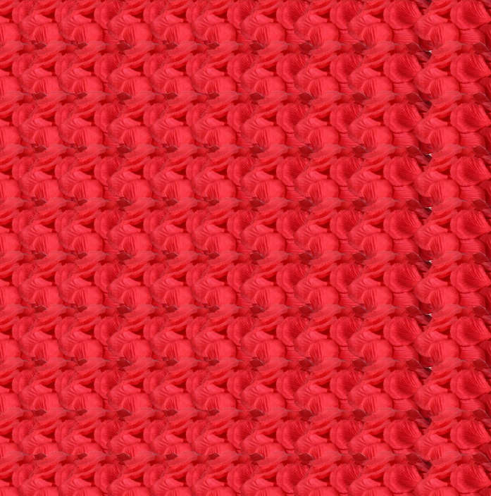 Rose Petals for Funerals / Parties / Romance (500 Pieces)