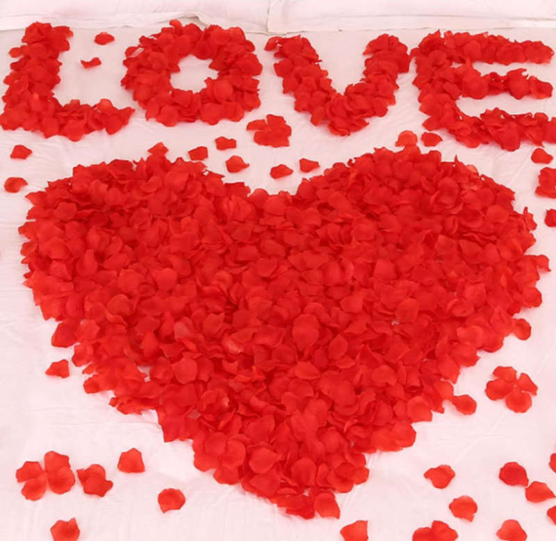 Rose Petals for Funerals / Parties / Romance (500 Pieces)