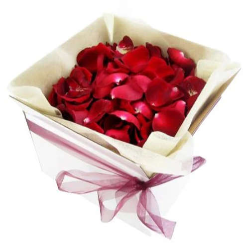 Rose Petals for Funerals / Parties / Romance (500 Pieces)
