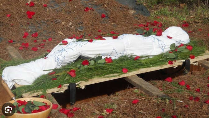 Rose Petals for Funerals / Parties / Romance (500 Pieces)