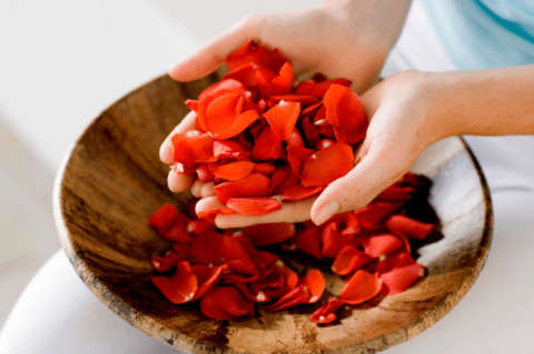 Rose Petals for Funerals / Parties / Romance (500 Pieces)