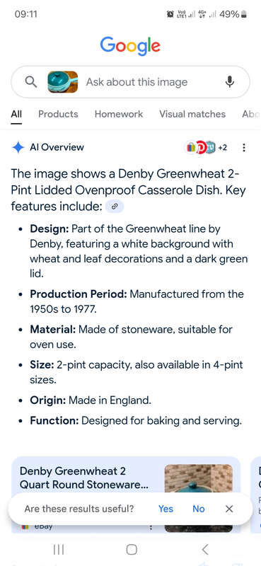 Denby ovenproof dish