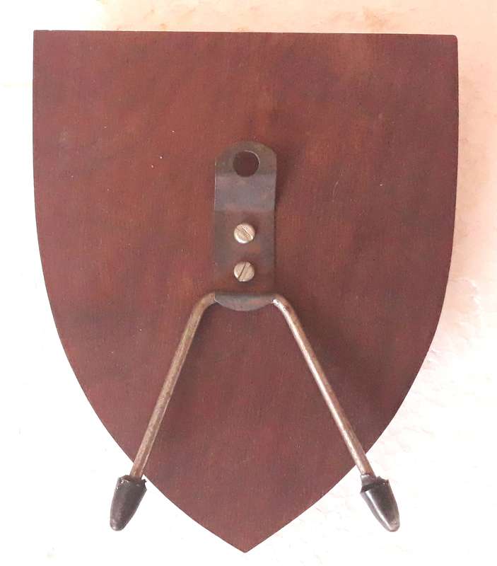 SADF 3rd Field Ambulance Unit Plaque