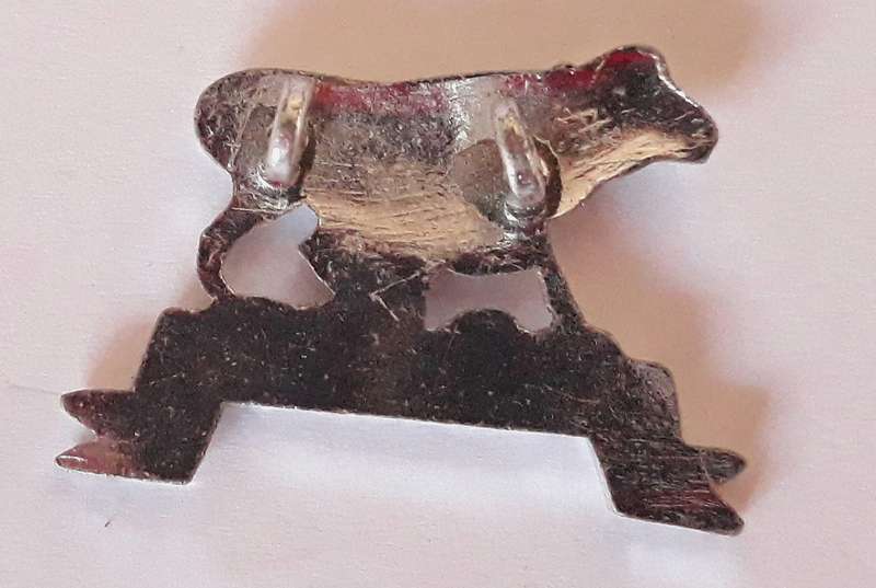 Kenyan Regiment Territorial Force Collar Badge