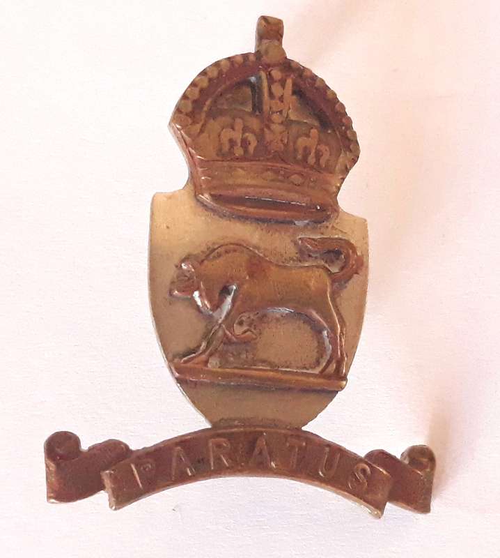 UDF South African Army College Collar Badge