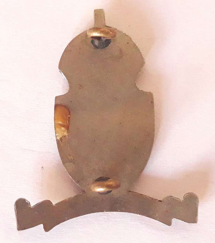 UDF South African Army College Collar Badge