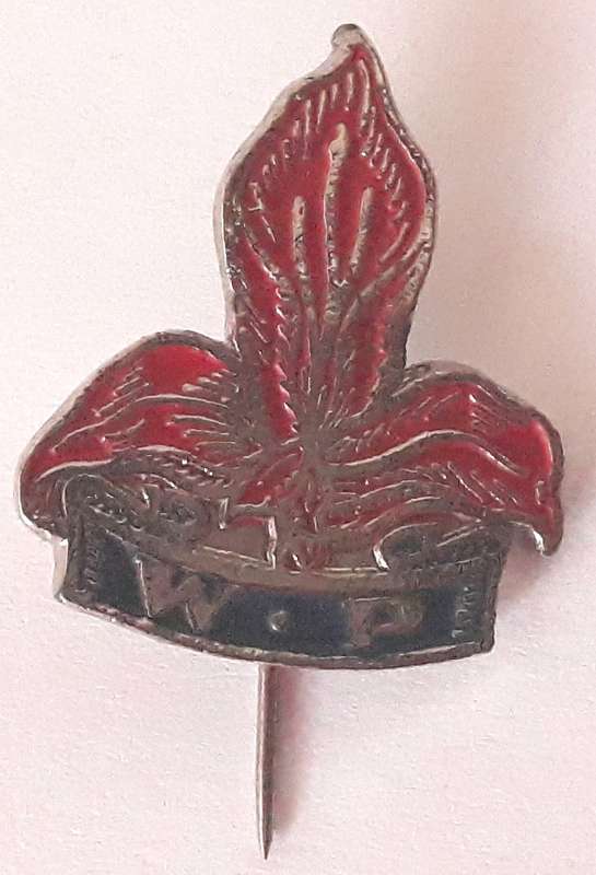 Vintage South African Rugby Western Province Pin Badge