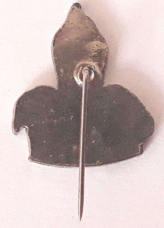 Vintage South African Rugby Western Province Pin Badge