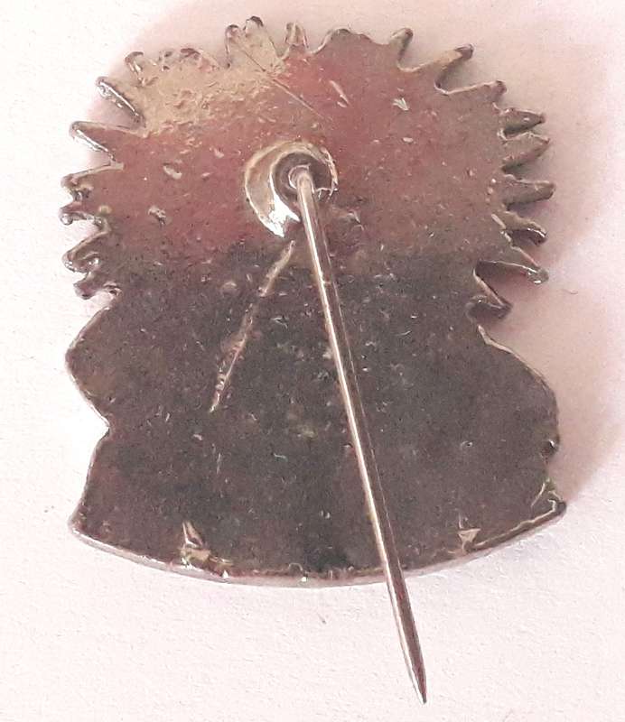Vintage South African Rugby Northern Transvaal Pin Badge