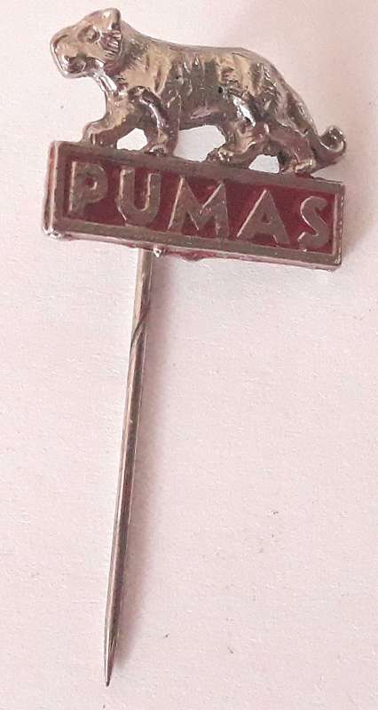 Vintage Rugby Argentina Pumas Pin Badge