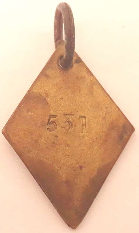 Antique Paarl 1901 Dog License Disk
