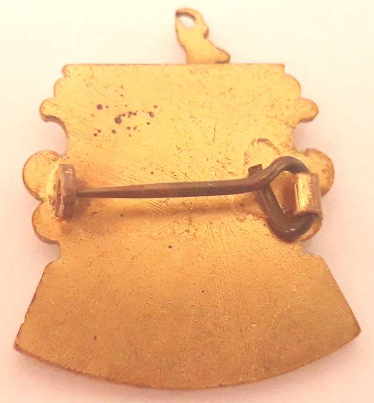 Vintage Photographic Society of Southern Africa Pin Badge