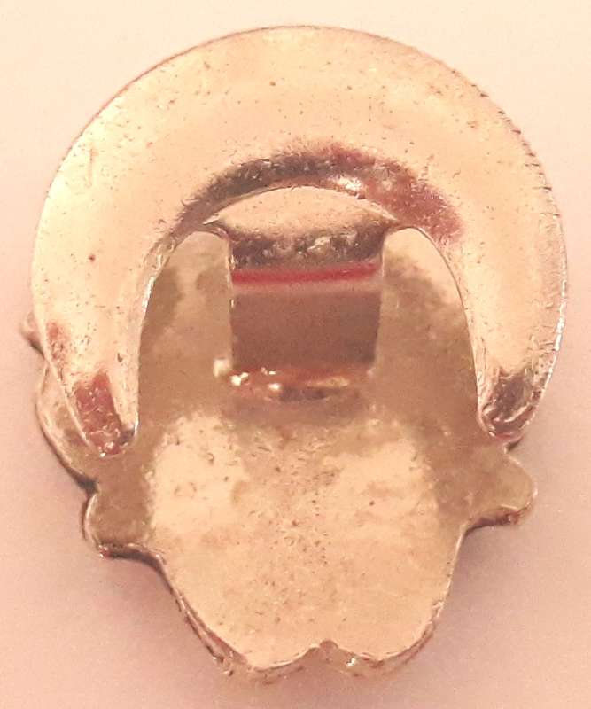 Vintage Fourie Family Crest Button Badge