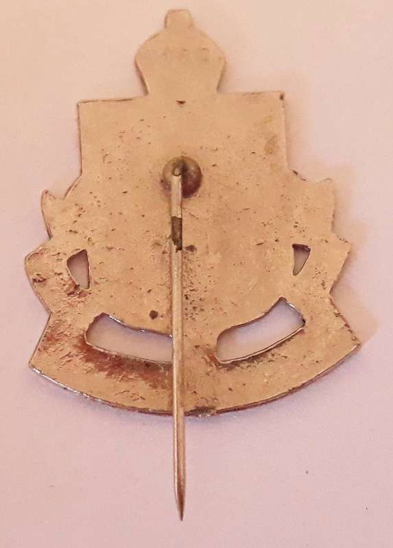 Vintage South African Rugby Natal Pin Badge