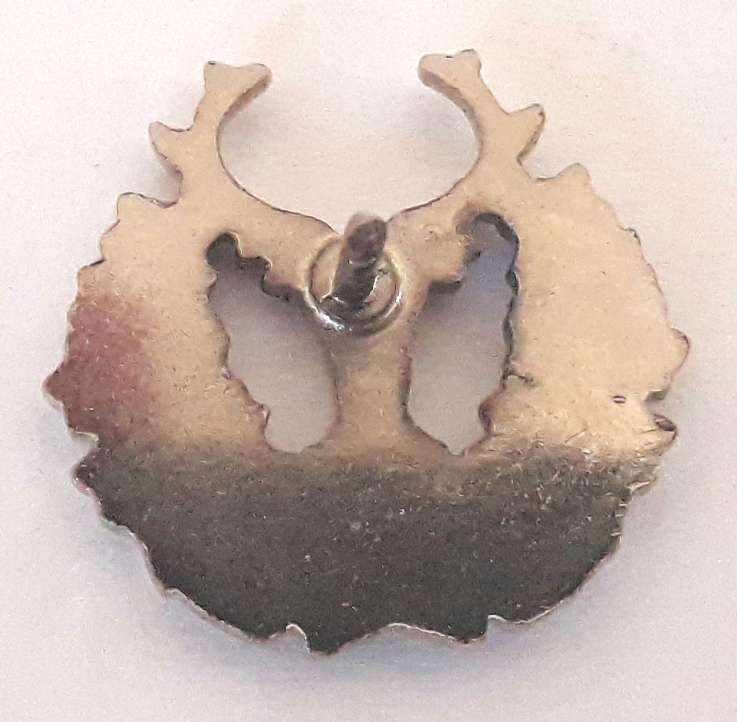 Gordon Highlanders Pin Badge