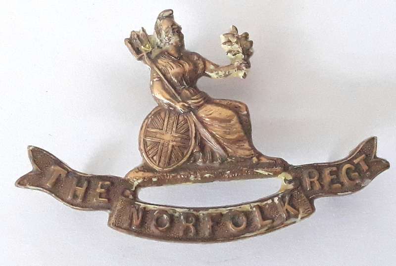 WW1 British The Norfolk Regiment Officer's Collar Badge