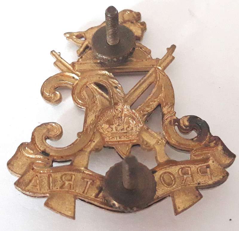 SADF Natal Carbineers Beret Badge