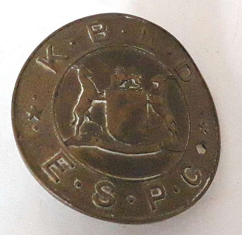 UDF Essential Services Protection Corps Cap Badge
