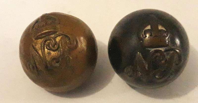 Early Twentieth Century Natal Police Acorn Buttons