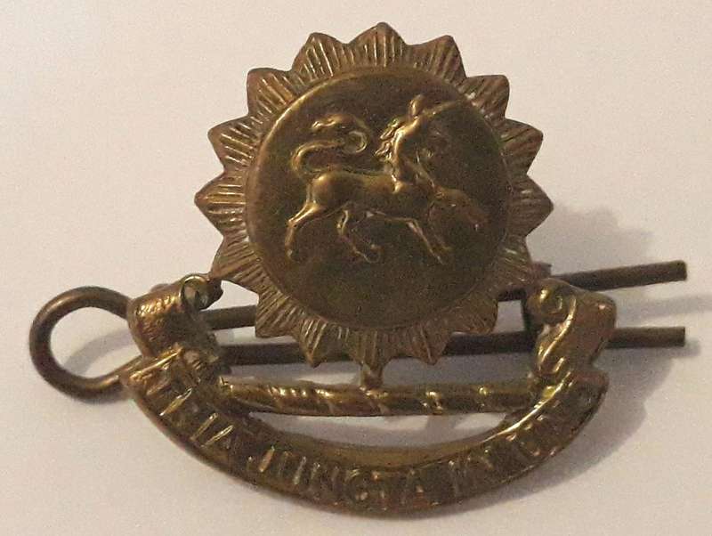 Grey's Highschool Cadets Collar Badge