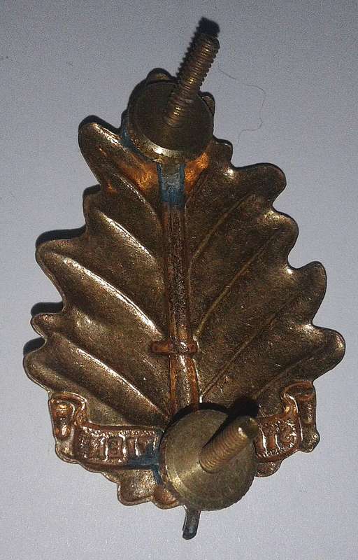 SADF Stellenbosch University Cap Badge