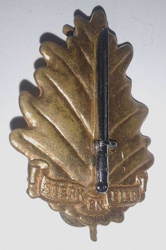 SADF Stellenbosch University Cap Badge