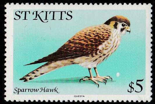 St Kitts       BIRDS      5$