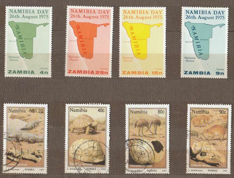 NAMIBIA DAY   PLUS  NAMIBIA   FOSSILS