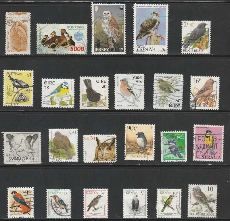 BIRDS  OF THE WORLD   THEMATICS