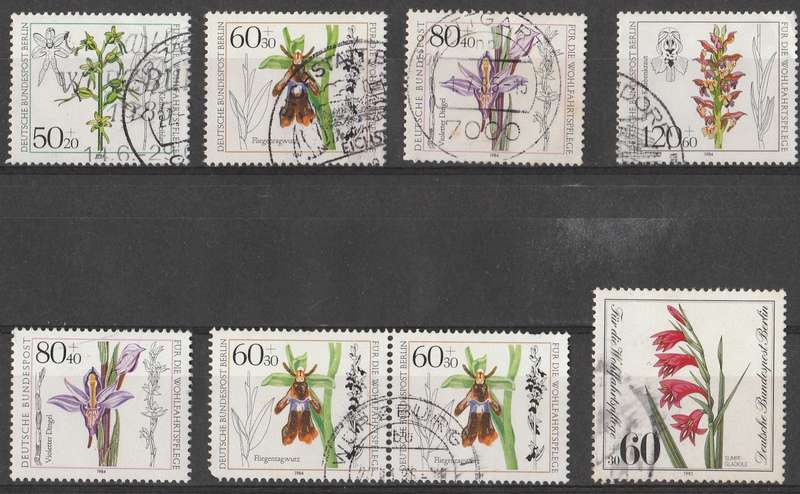 GERMANY    ORCHIDS