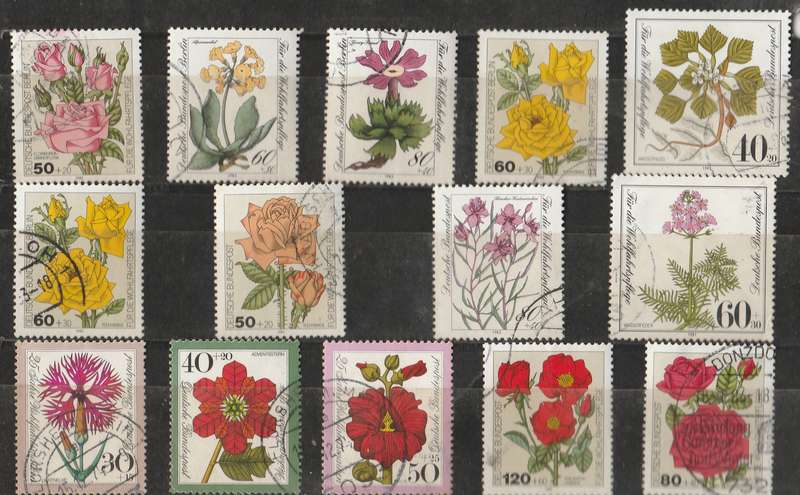 GERMANY    FLOWERS