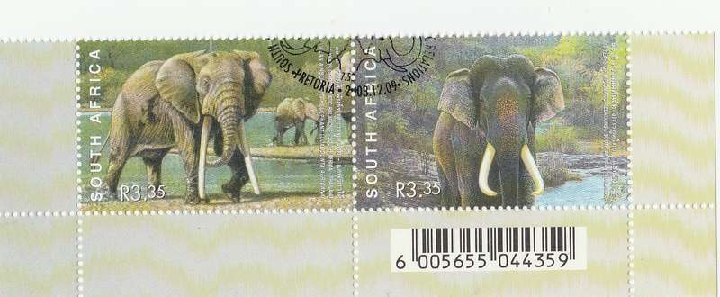 RSA      SACC1591        CV 70 2003