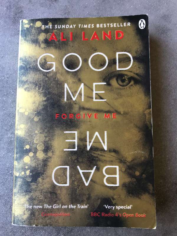 Good Me Bad Me by Ali Land [Paperback: Good]