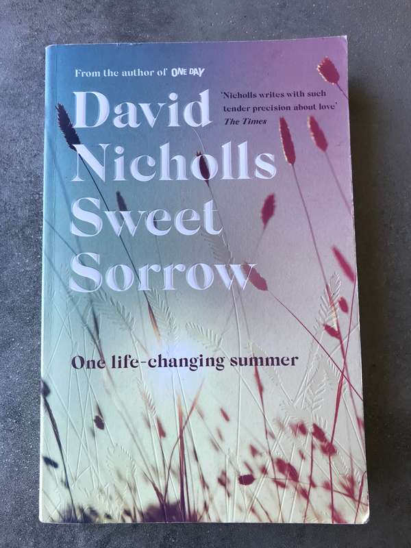 Sweet Sorrow by David Nicholls [Large Paperback: Very Good]
