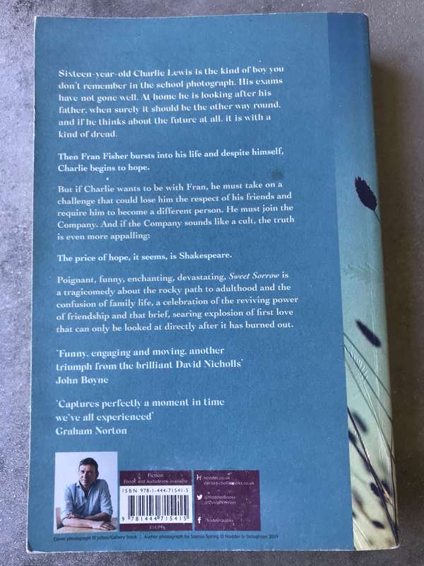 Sweet Sorrow by David Nicholls [Large Paperback: Very Good]