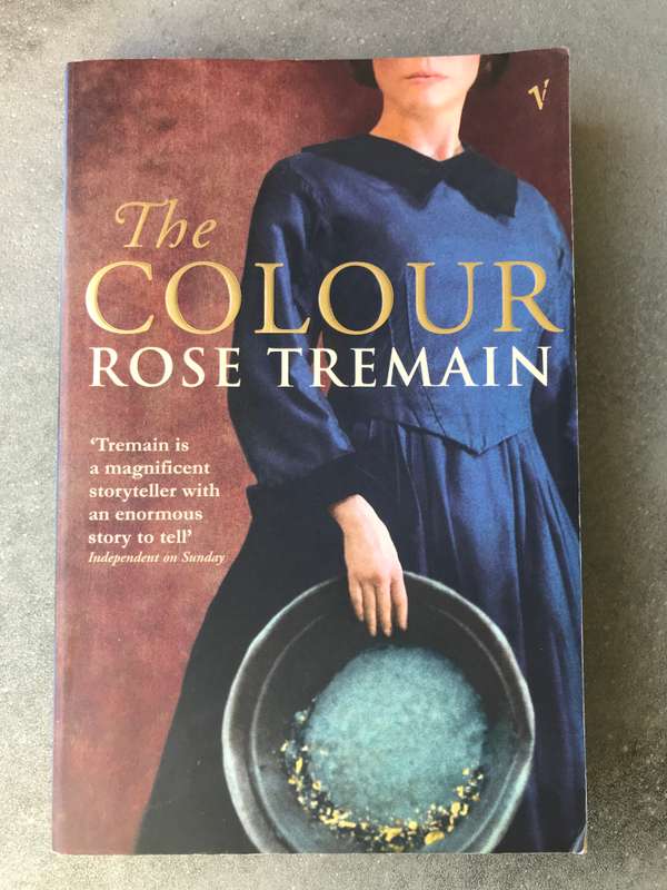 The Colour by Rose Tremain [Paperback: Very Good]