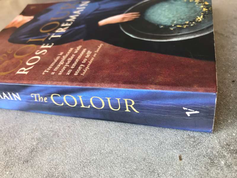 The Colour by Rose Tremain [Paperback: Very Good]