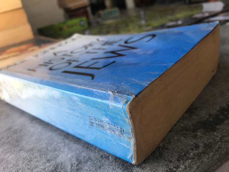 A History of the Jews by Paul Johnson [Paperback: Average]