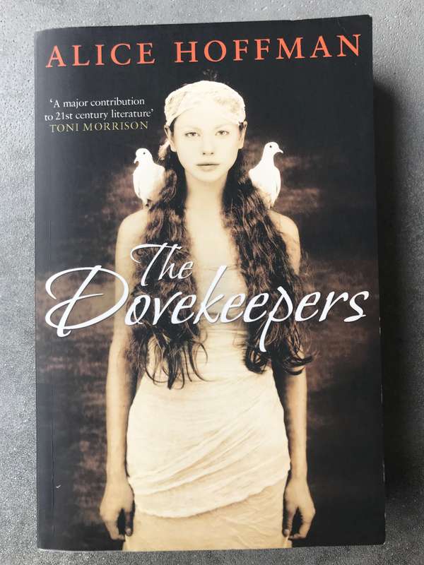 The Dovekeepers by Alice Hoffman [Paperback: Very Good]