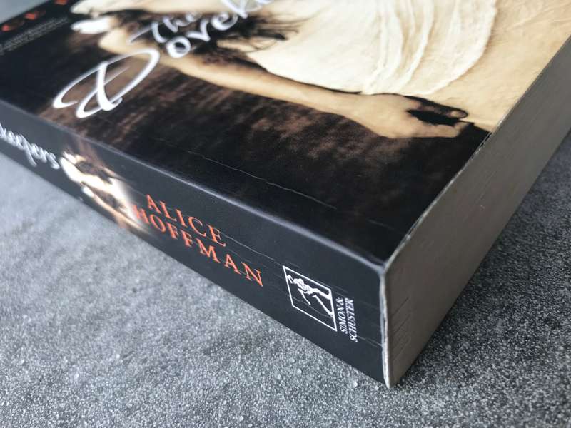 The Dovekeepers by Alice Hoffman [Paperback: Very Good]