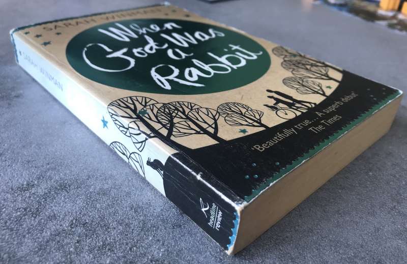When God Was a Rabbit by Sarah Winman [Paperback: Good]