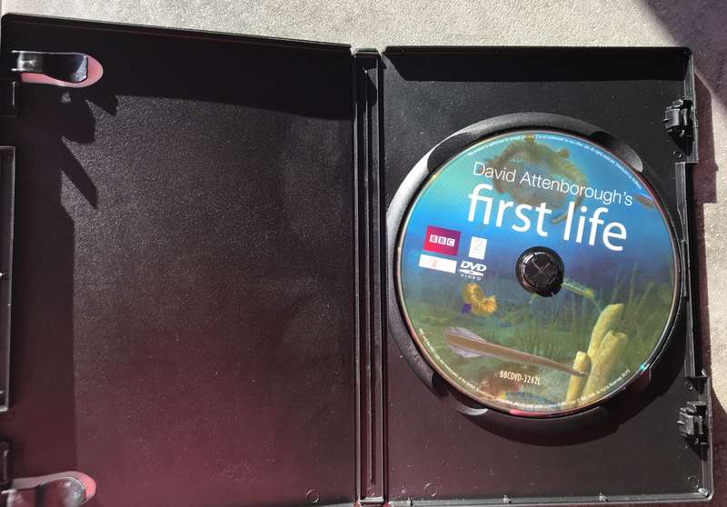 David Attenborough's First Life [DVD]