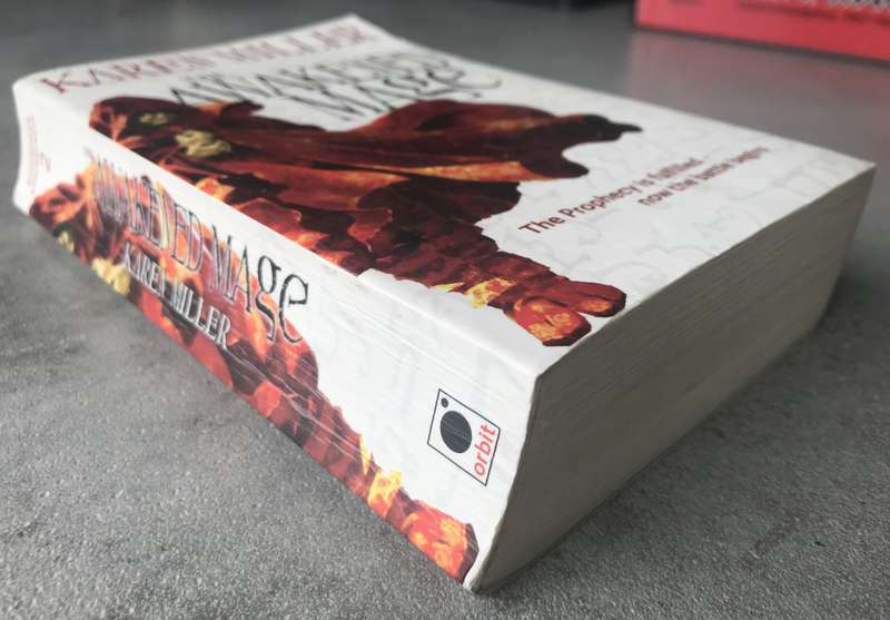 The Awakened Mage (Kingmaker, Kingbreaker #2) by Karen Miller [Paperback: Good]