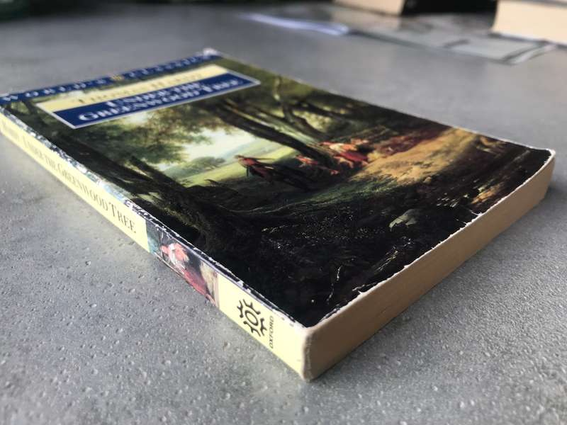 Under the Greenwood Tree by Thomas Hardy [Paperback: Average]
