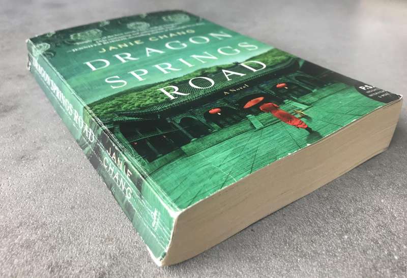 Dragon Springs Road by Janie Chang [Paperback: Good]