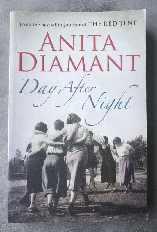 Day After Night by Anita Diamant [Large Paperback: Very Good]