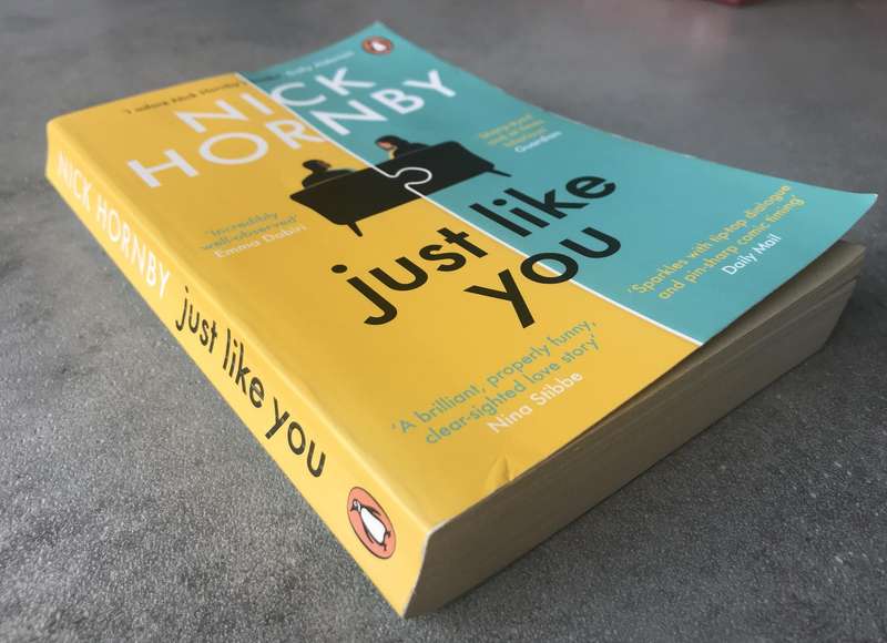 Just Like You by Nick Hornby [Paperback: Very Good]