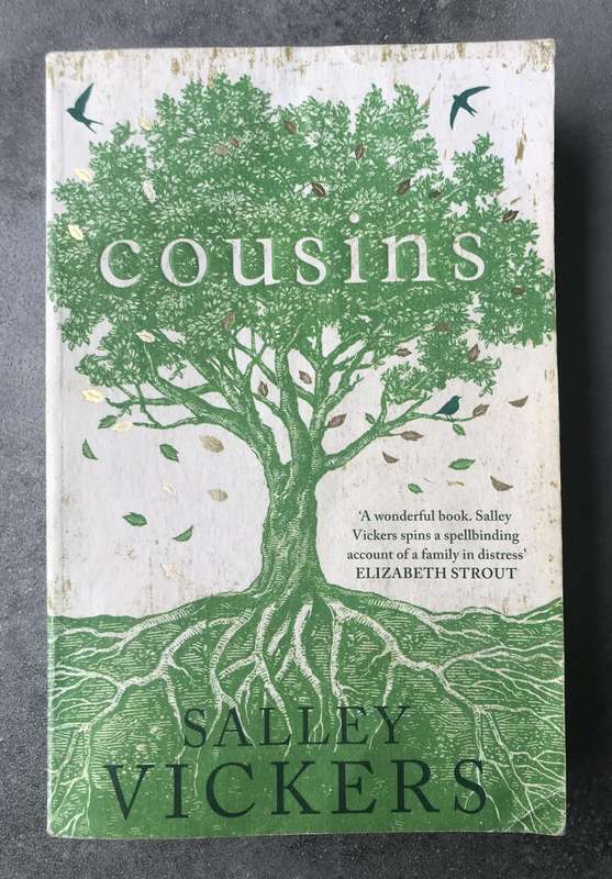 Cousins by Salley Vickers [Large Paperback: Average]